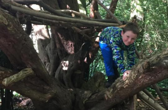 Slindon College Forest School Tree